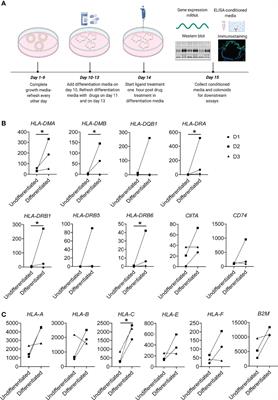 Tofacitinib Downregulates TNF and Poly(I:C)-Dependent MHC-II Expression in the Colonic Epithelium